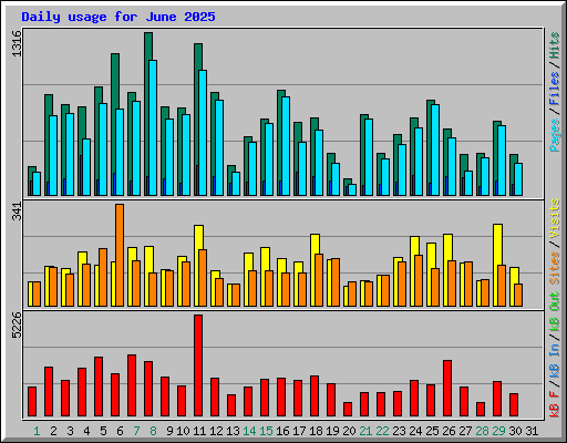 Daily usage for June 2025