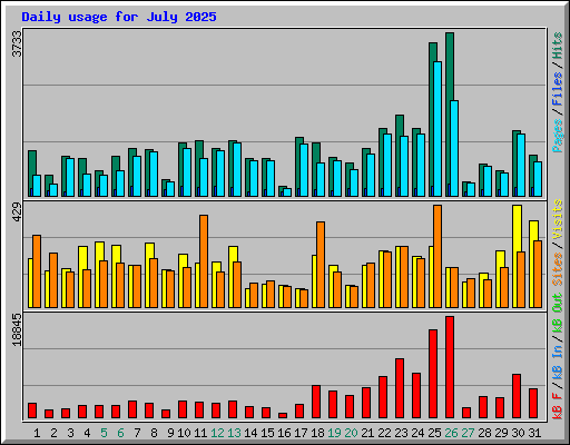 Daily usage for July 2025