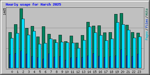 Hourly usage for March 2025