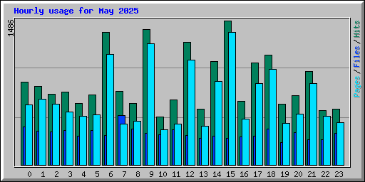 Hourly usage for May 2025