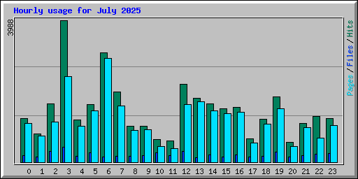 Hourly usage for July 2025
