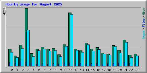 Hourly usage for August 2025