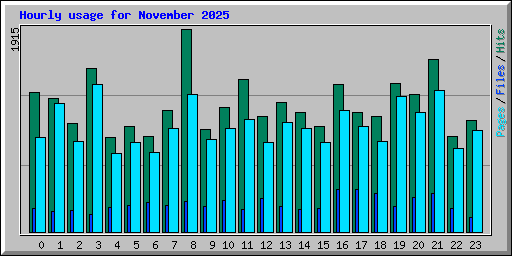 Hourly usage for November 2025