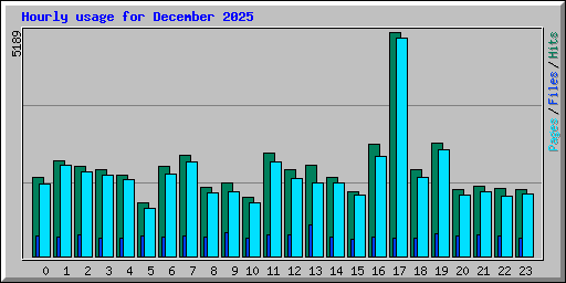 Hourly usage for December 2025