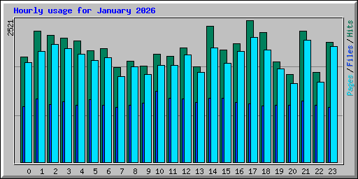Hourly usage for January 2026
